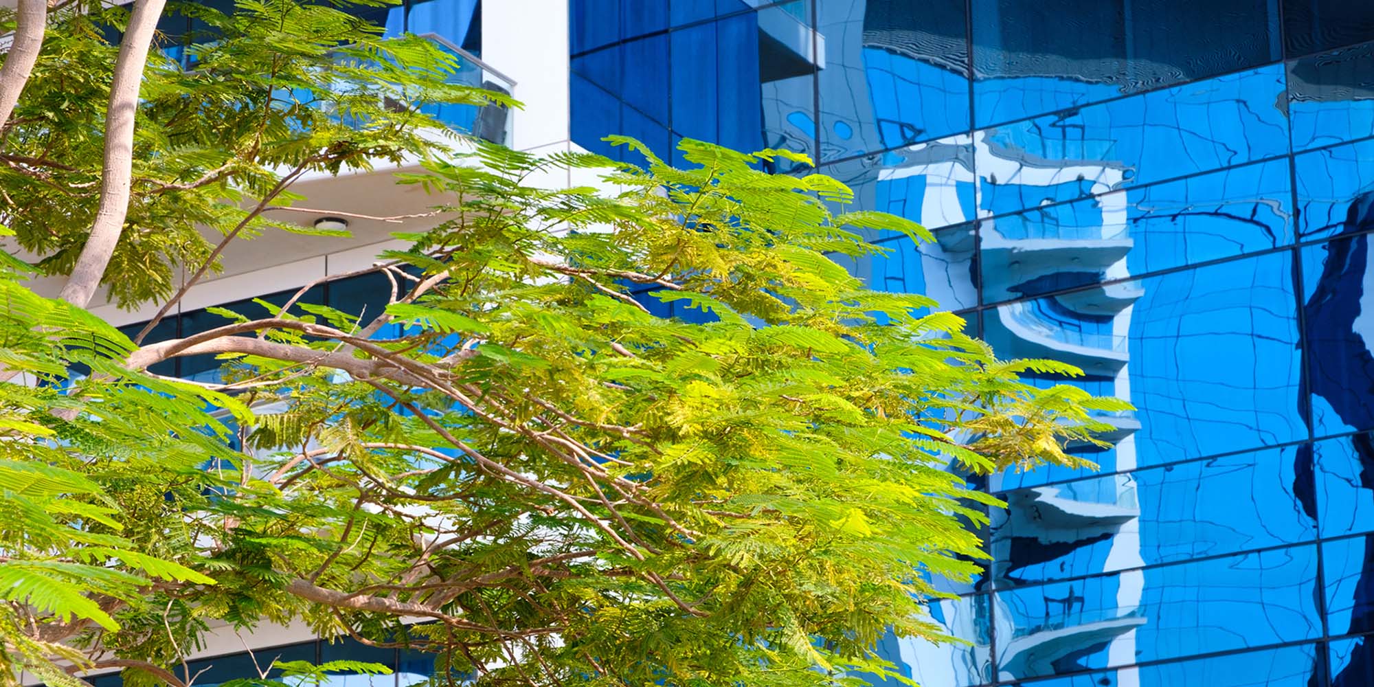 ClearBridge Emerging Markets Fund